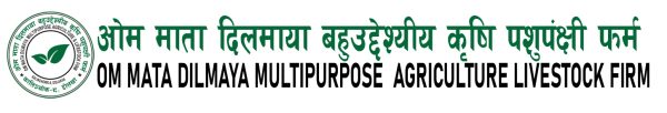 OM MATA DILMAYA MULTIPURPOSE AGRICULTURE LIVESTOCK FIRM